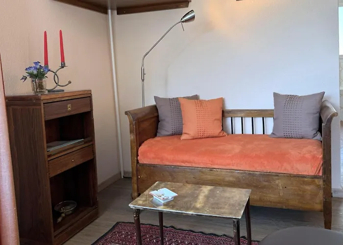 Mayenzett 41 公寓 洛伊克巴德