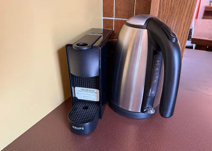 Mayenzett 41 * 洛伊克巴德